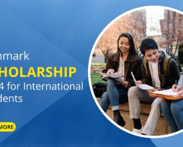 Denmark Scholarship 2024 for International Students: A Comprehensive Guide